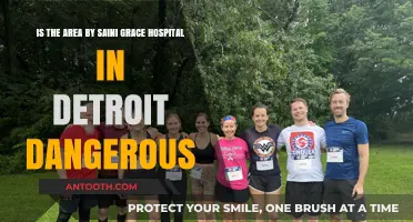 Is Saini Grace Hospital's Detroit Neighborhood Safe? A Local's Perspective