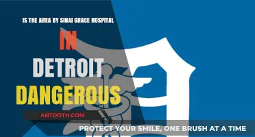 Is Sinai Grace Hospital's Detroit Neighborhood Safe? A Local's Perspective