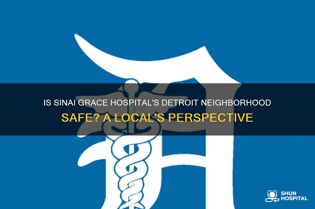 is the area by sinai grace hospital in detroit dangerous
