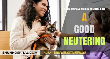 Banfield Animal Hospital Neutering: Quality Care or Cause for Concern?