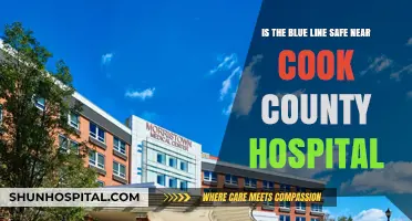 Is the Blue Line Safe Near Cook County Hospital?