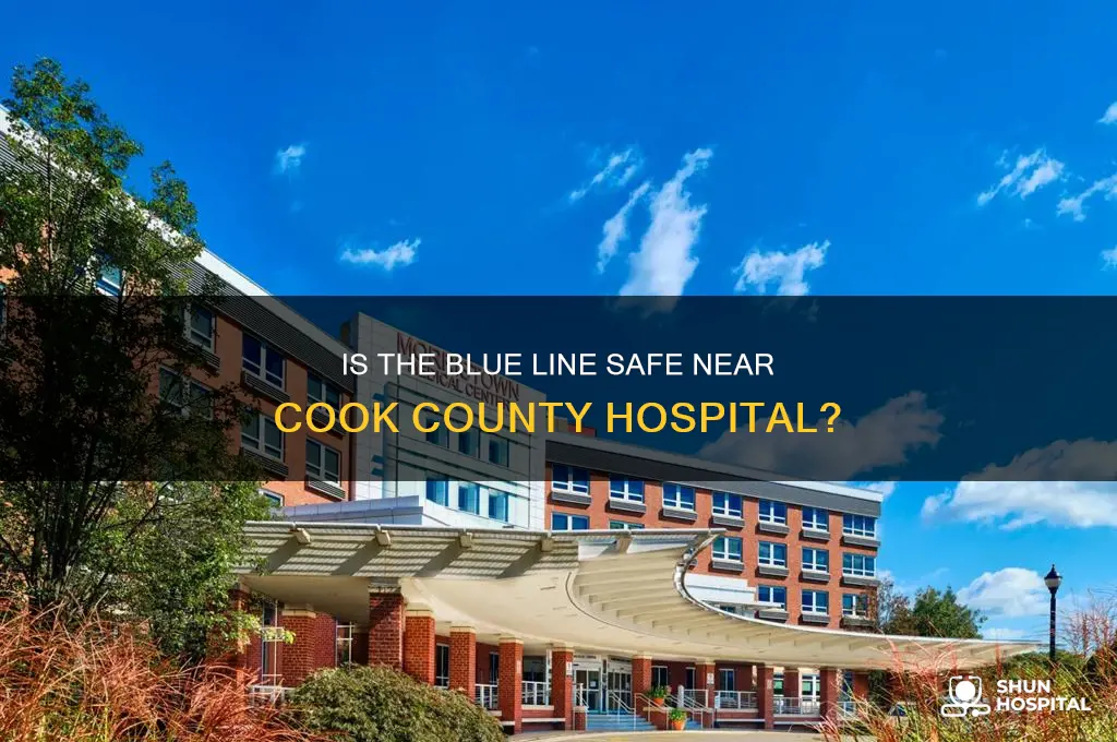 is the blue line safe near cook county hospital
