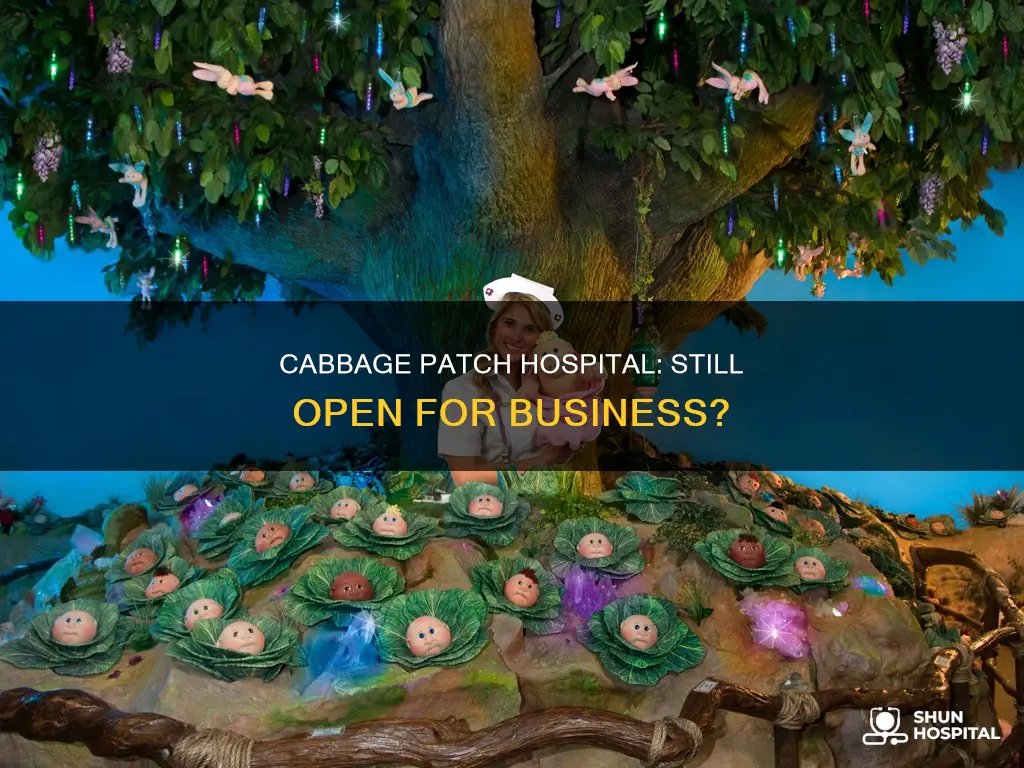 is the cabbage patch hospital still open