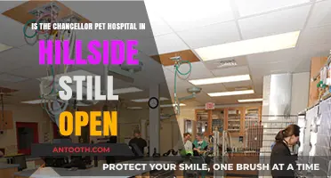 Chancellor Pet Hospital in Hillside: Current Status and Availability
