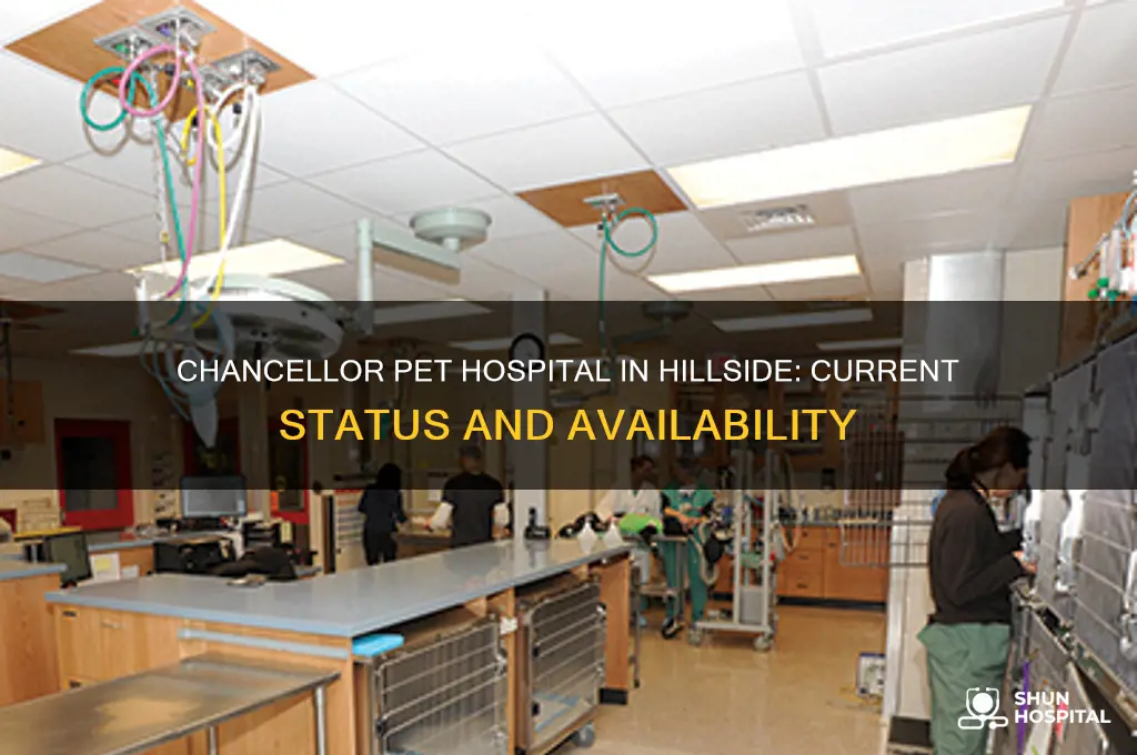 is the chancellor pet hospital in hillside still open