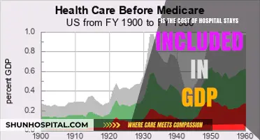 Are Hospital Stay Costs Factored into GDP Calculations?
