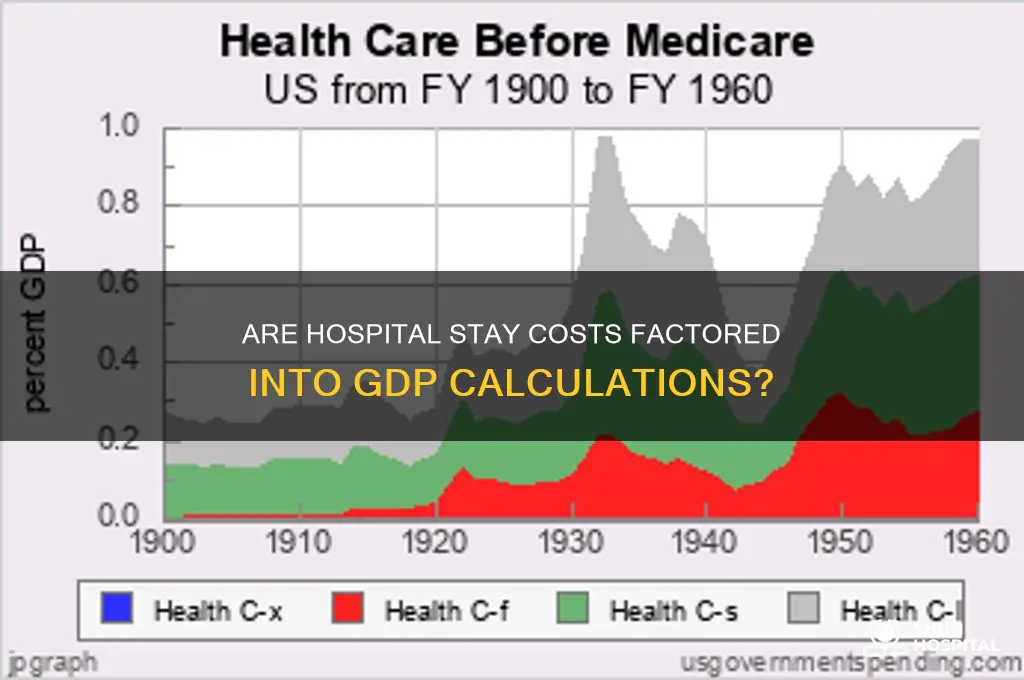 is the cost of hospital stays included in gdp