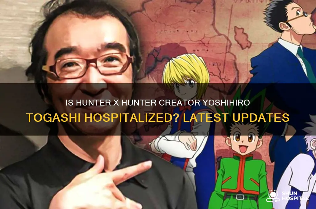 is the creator of hunter x hunter in the hospital