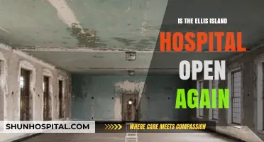 Ellis Island Hospital: Reopening a Historical Site?