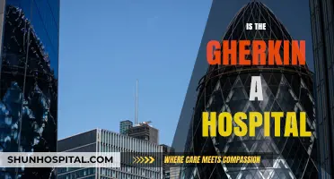 Is The Gherkin a Hospital? Unraveling the Iconic Building's True Purpose