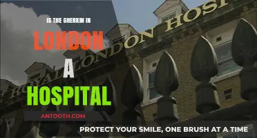 London's Gherkin: Is it a Hospital or an Iconic Skyscraper?