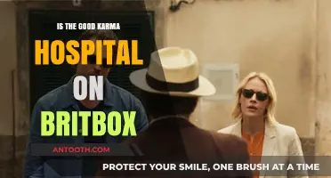 Britbox's Good Karma Hospital: Is It Worth Watching?