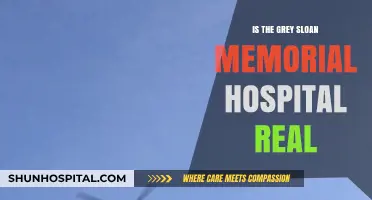 Exploring Grey Sloan Memorial Hospital: Fact or Fiction?