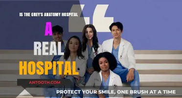Is Grey Sloan Memorial Hospital Real? Uncovering the Truth Behind Grey's Anatomy