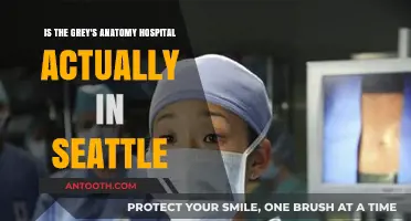 Is Grey's Anatomy's Hospital Really Located in Seattle?