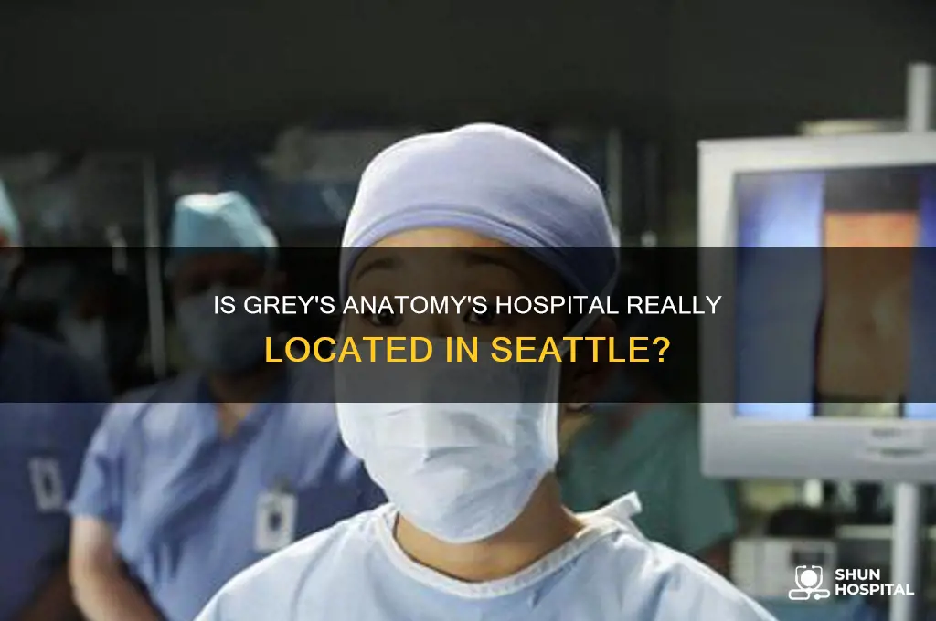 is the grey