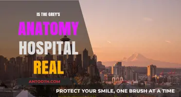 Grey Sloan Memorial: Fact or Fiction?