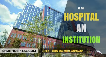 Are Hospitals Institutions? Exploring Their Role in Healthcare Systems