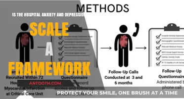 Exploring the Hospital Anxiety and Depression Scale as a Framework