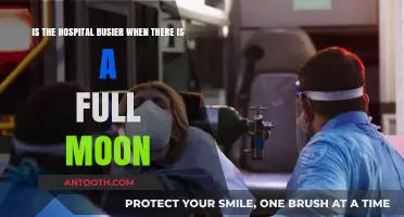 Full Moon Frenzy: Does Lunar Activity Impact Hospital Busyness?