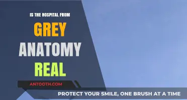 The Truth Behind Grey's Anatomy Hospital
