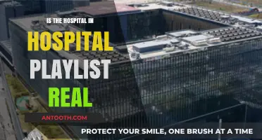 Hospital Playlist: Fact or Fiction?