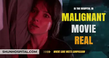The Hospital in Malignant: Fact or Fiction?