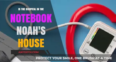 Is The Notebook's Hospital Noah's House? Unraveling the Film's Iconic Location