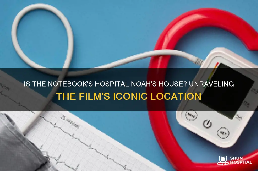 is the hospital in the notebook noah