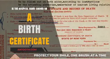 Does a Birth Certificate Include the Hospital Name? Facts Revealed