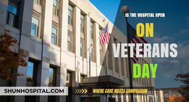 Veterans Day: Are Hospitals Operational?