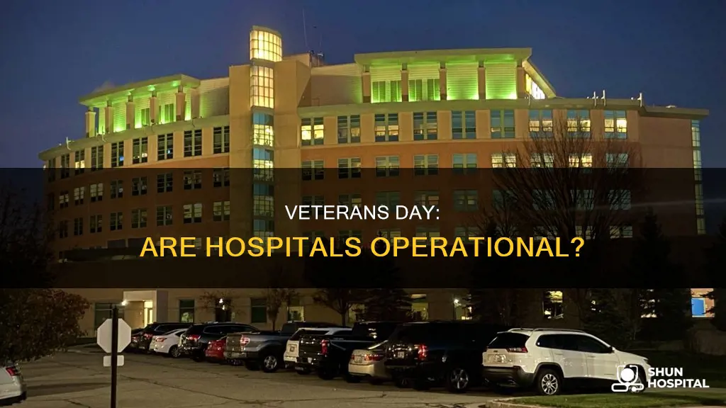 is the hospital open on veterans day