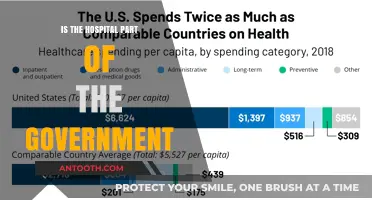 How Hospitals Fit into the Government System