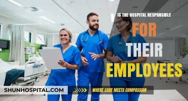Hospital Accountability: Who's Responsible for Employee Actions?