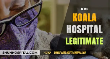 Is the Koala Hospital Legitimate? Uncovering the Truth Behind the Care
