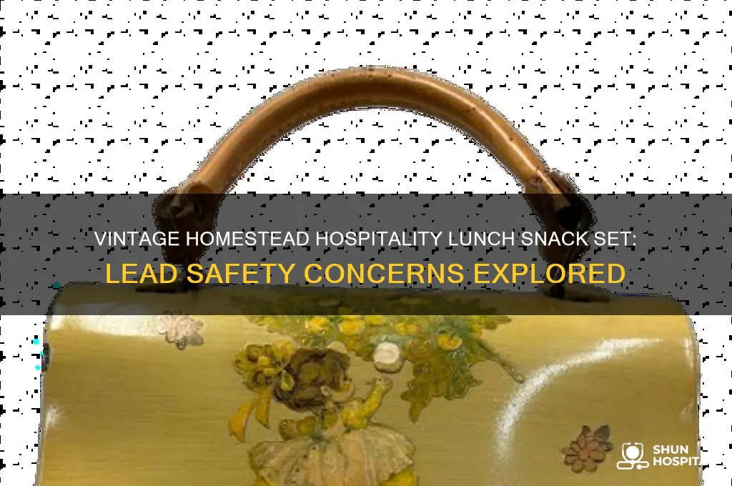 is the lead in vintage homestead hospitality lunch snack set