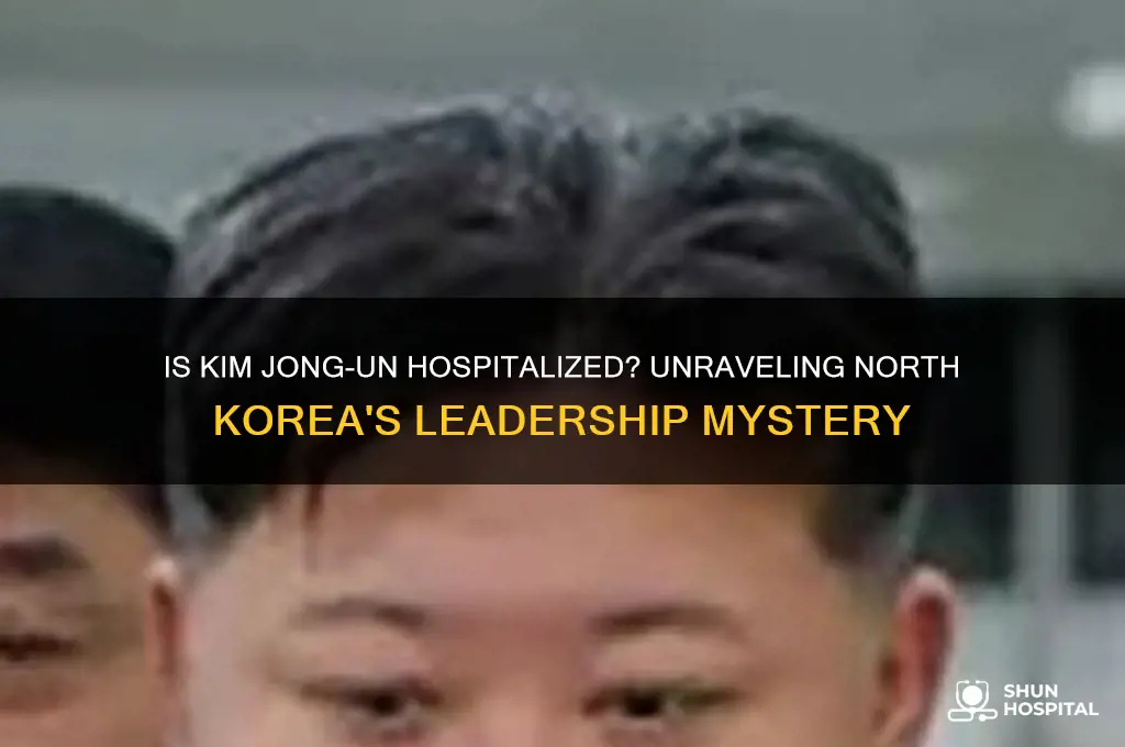 is the leader of north korea in the hospital