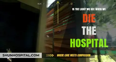 The Dying Light: Hospital Lights and Near-Death Experiences Explored