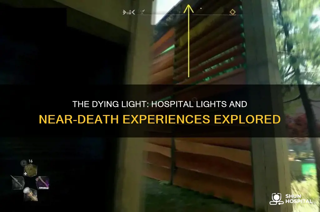 is the light we see when we die the hospital