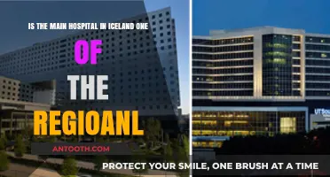 Is Iceland's Main Hospital a Regional Healthcare Hub?