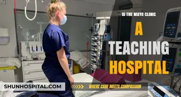 Mayo Clinic: A Teaching Hospital?