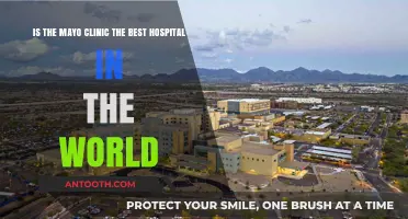Is Mayo Clinic the World's Top Hospital? A Comprehensive Review
