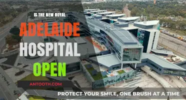 Royal Adelaide Hospital: Open for Business?
