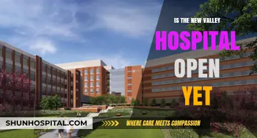 The New Valley Hospital: Open for Business?