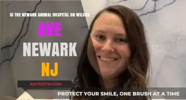 Newark Animal Hospital on Wilson Ave: Services, Reviews, and Location