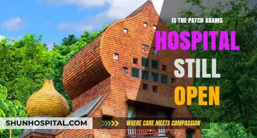 The Patch Adams Hospital: Still Open for Laughter