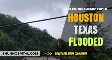Pine Valley Specialty Hospital Houston: Flooded or Safe?