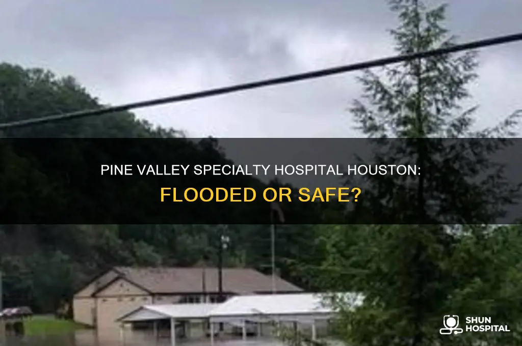 is the pine valley specialty hospital houston texas flooded