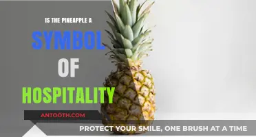 Pineapple Symbolism: Hospitality and Beyond