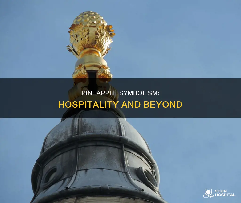 is the pineapple a symbol of hospitality